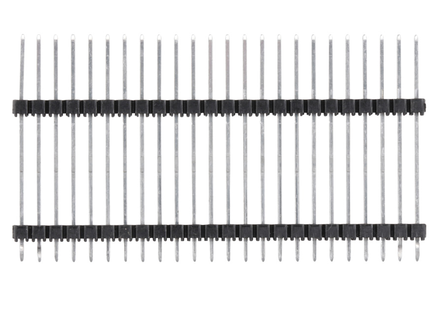 X451572.JPG
