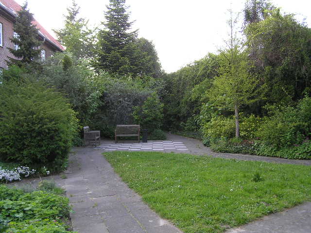 P5210018.JPG