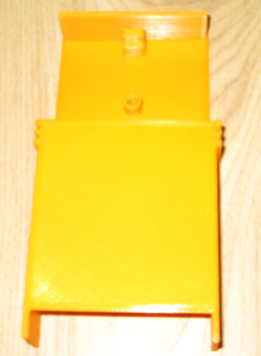 CarrotCasefinalBackView.jpg