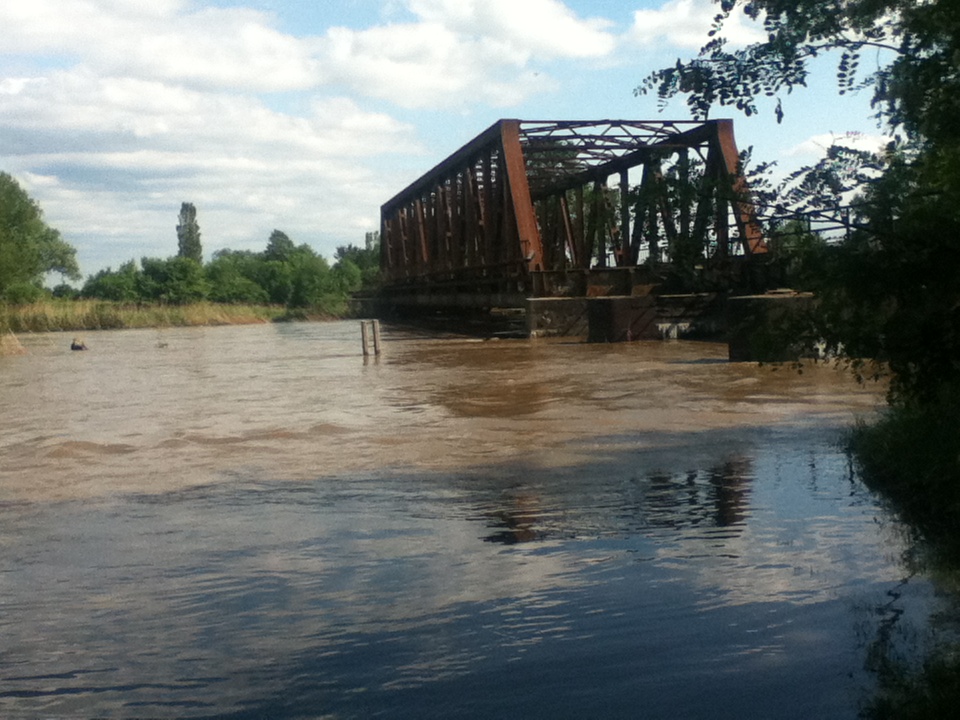 Neißehochwasser 6.6.2013: überflutete Neißewiesen, das eigentliche Flussbett beginnt hinter dem Schilf am Horizont