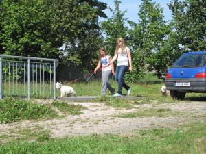 Alexandra und Lea mit Dirks Hunden